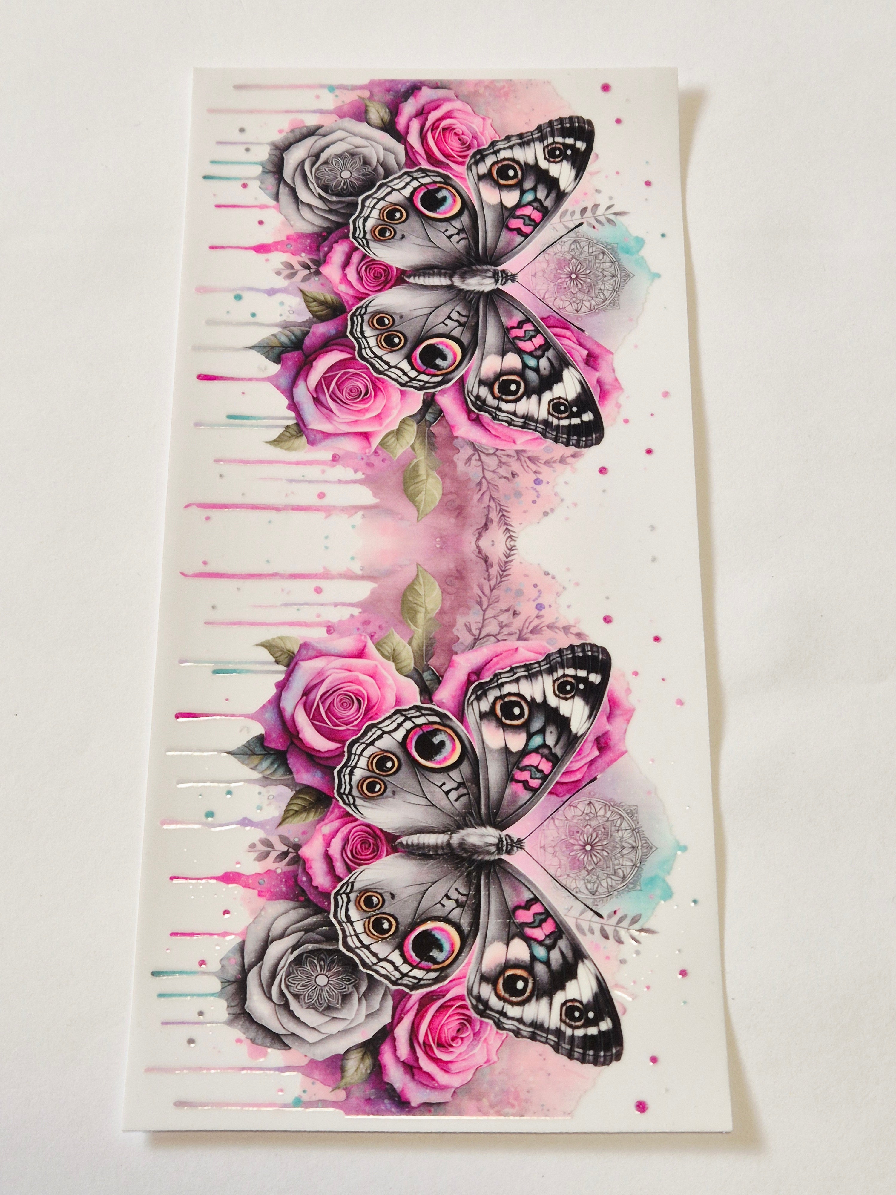 Schmetterling 269