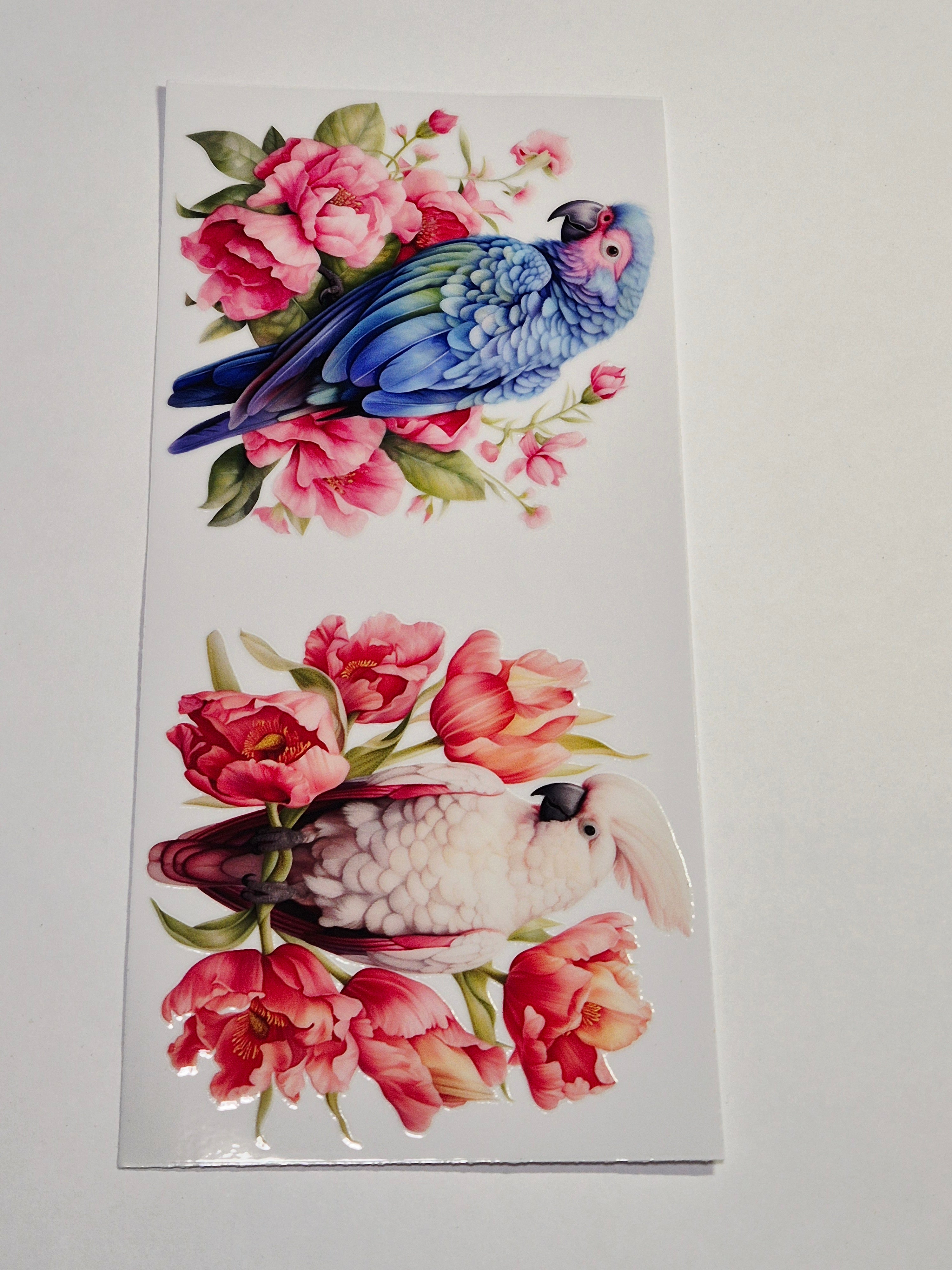 Sticker Papagei Vogel 241