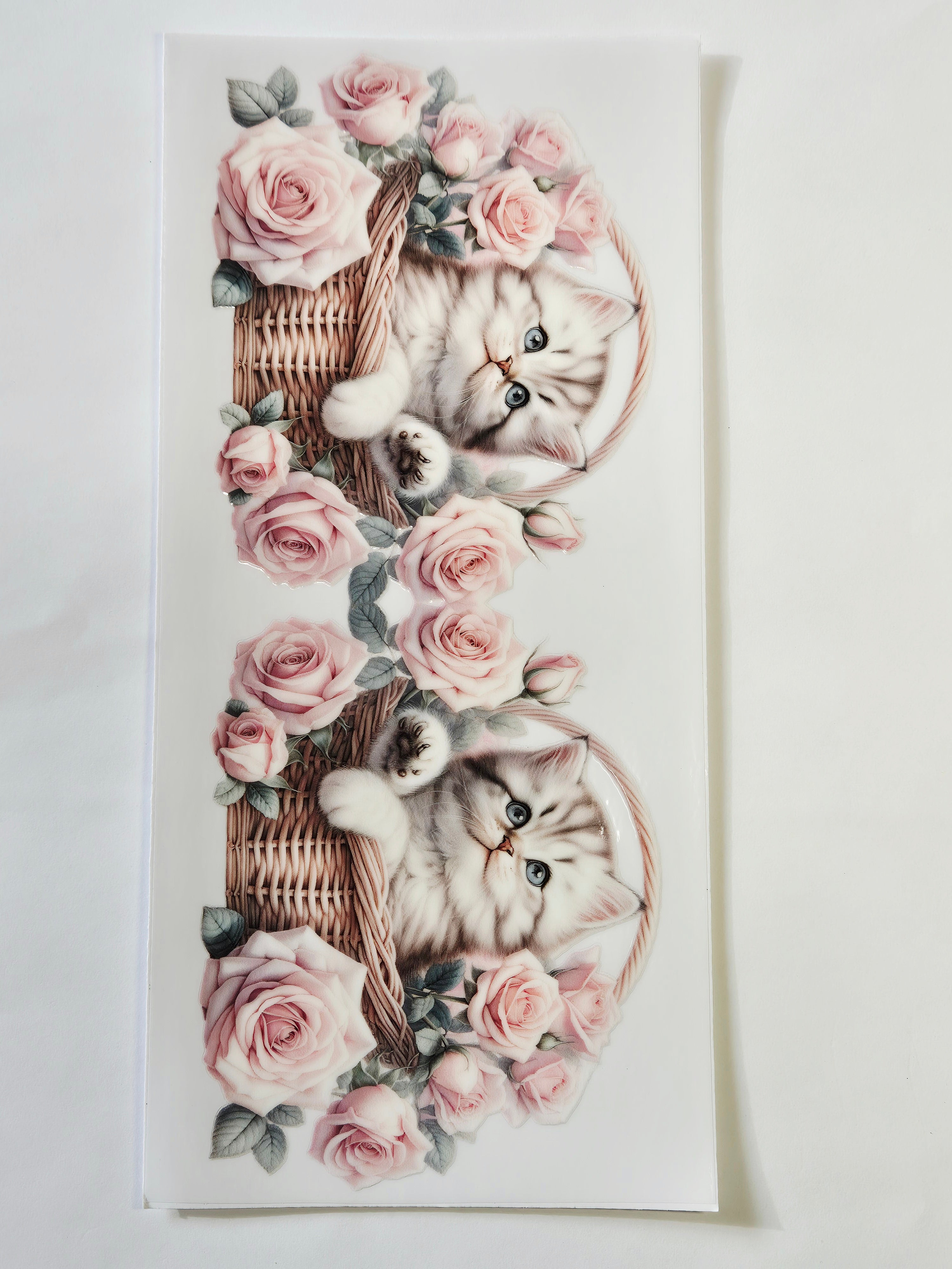 Sticker Baby Katze 147