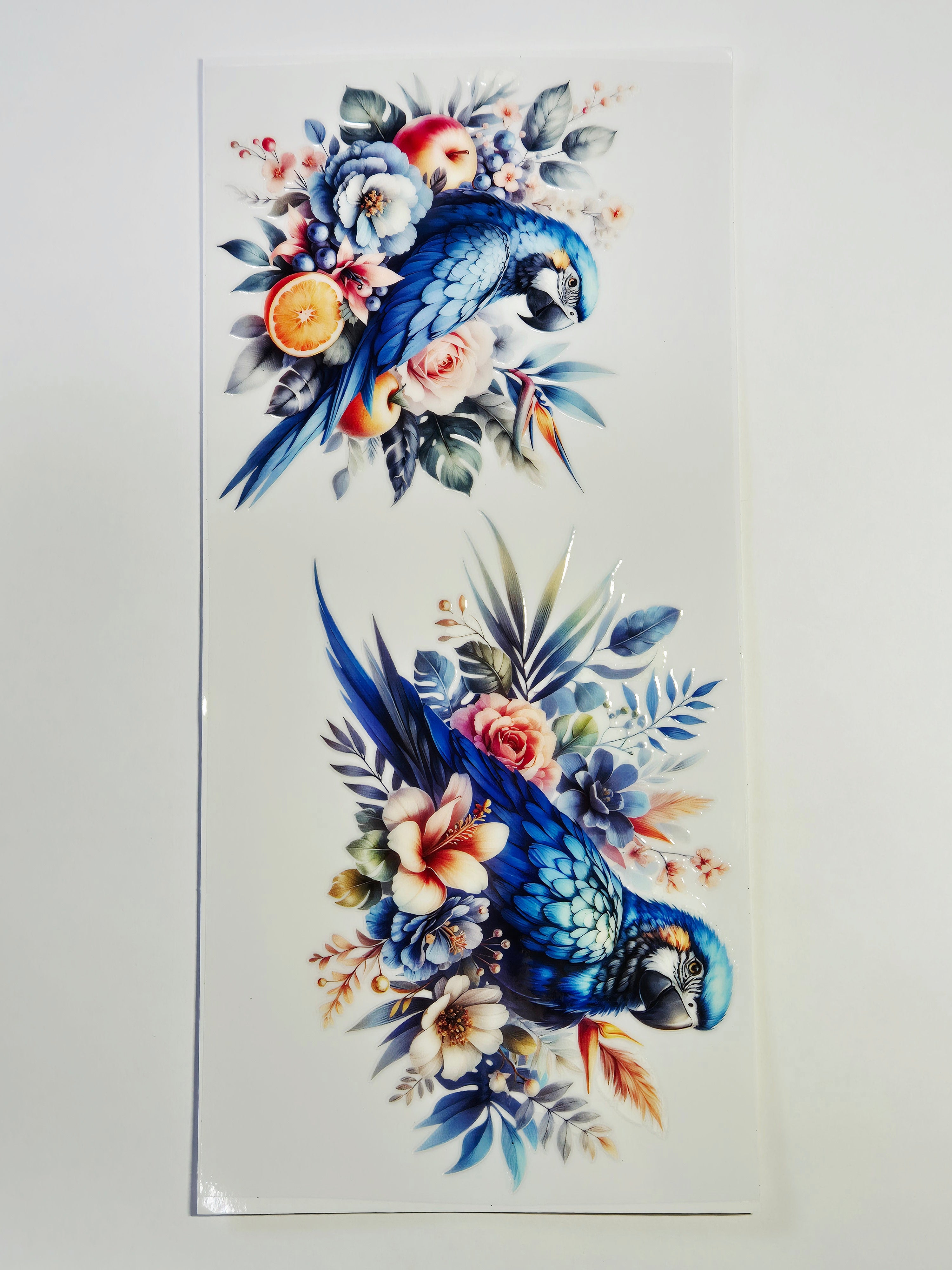 Sticker Papagei Vogel 37