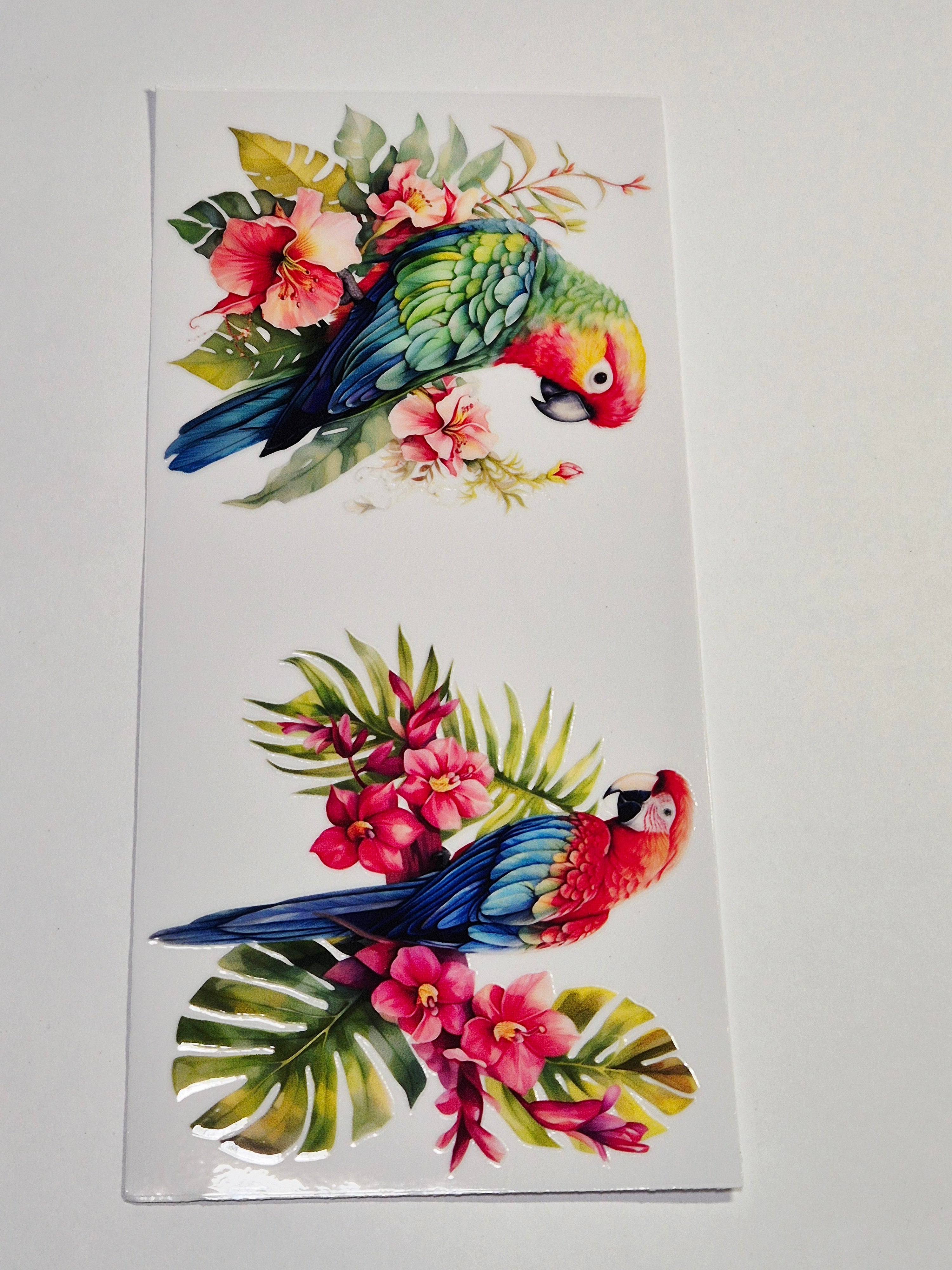 Sticker Papagei Vogel 242