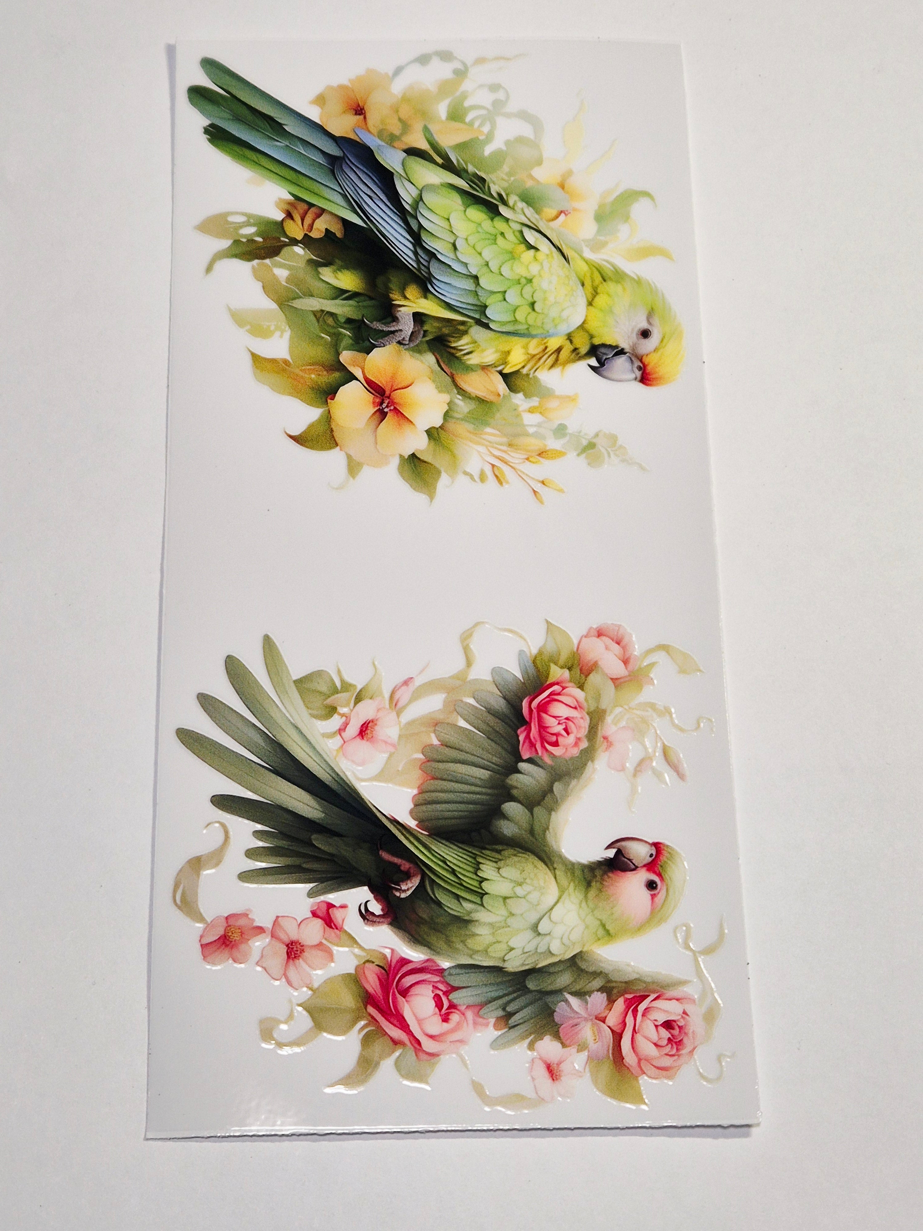 Sticker Papagei Vogel 239