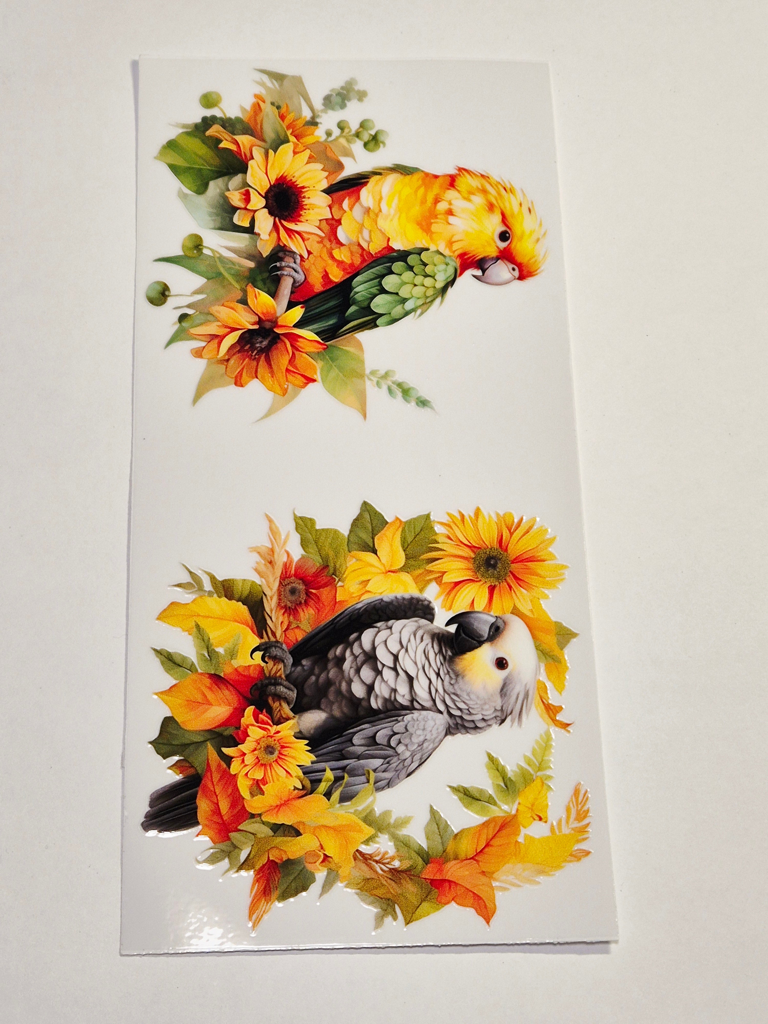 Sticker Papagei Vogel 240