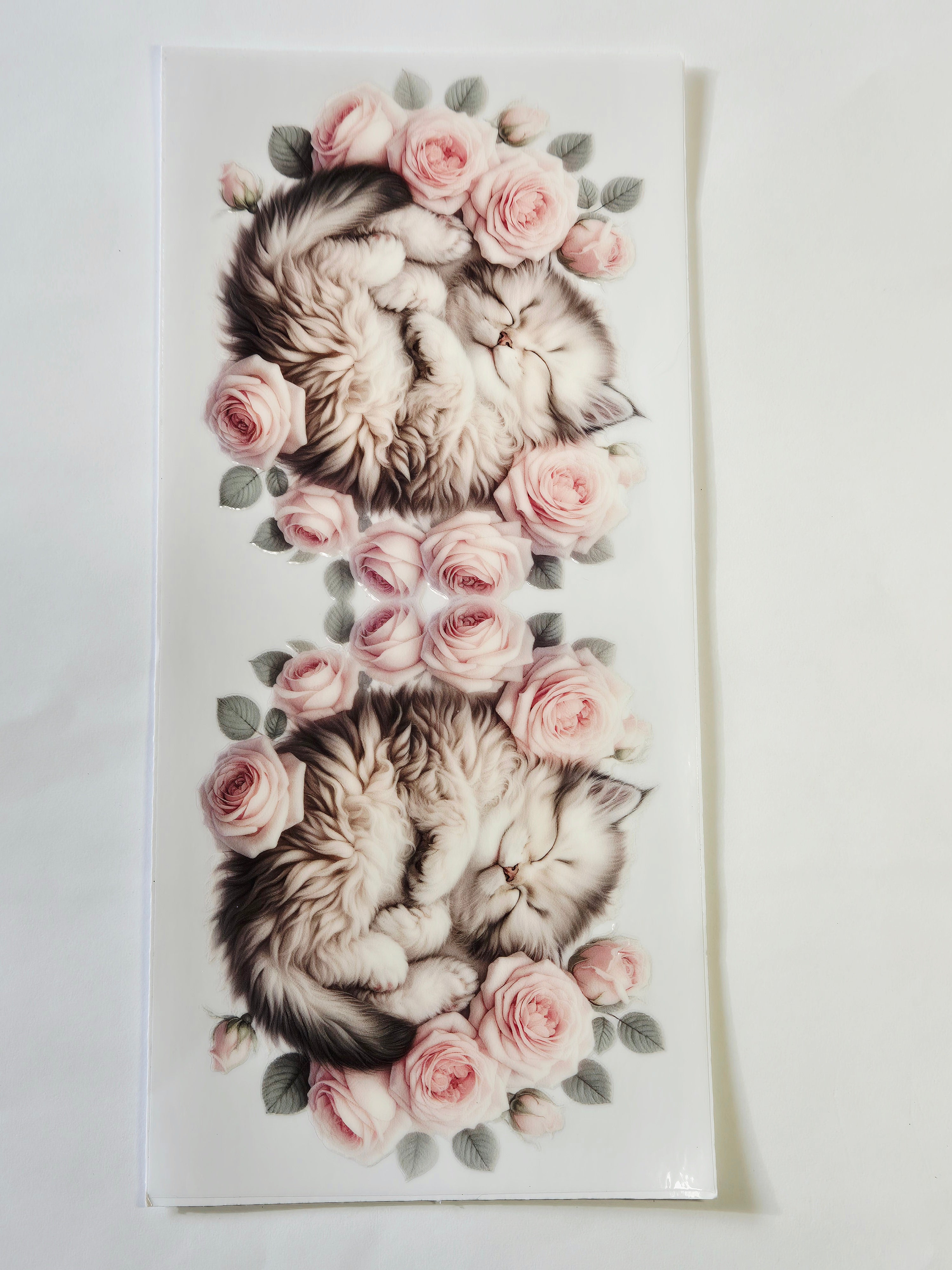 Sticker Baby Katze 148