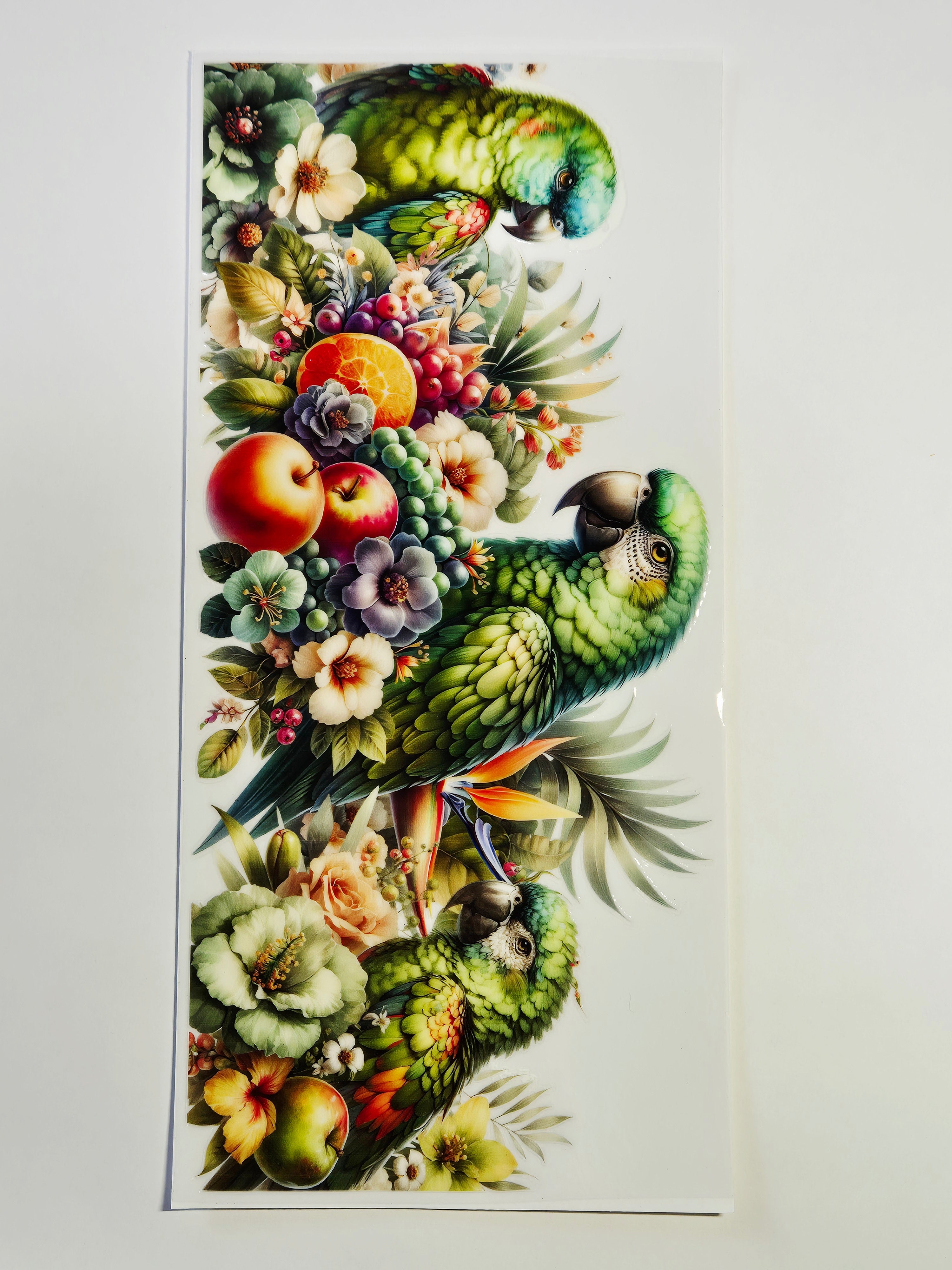 Sticker Papagei Vogel 36