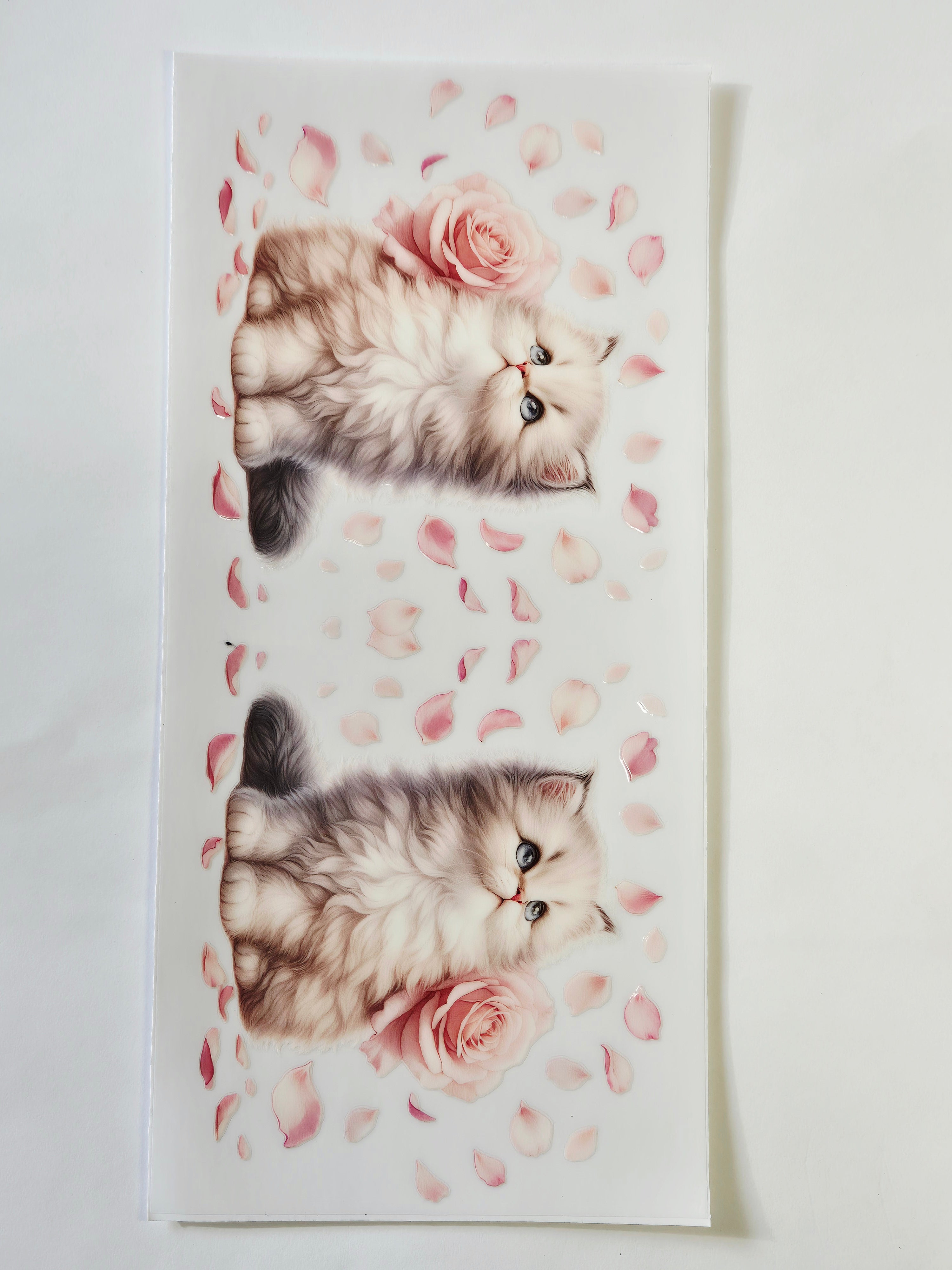 Sticker Baby Katze 145