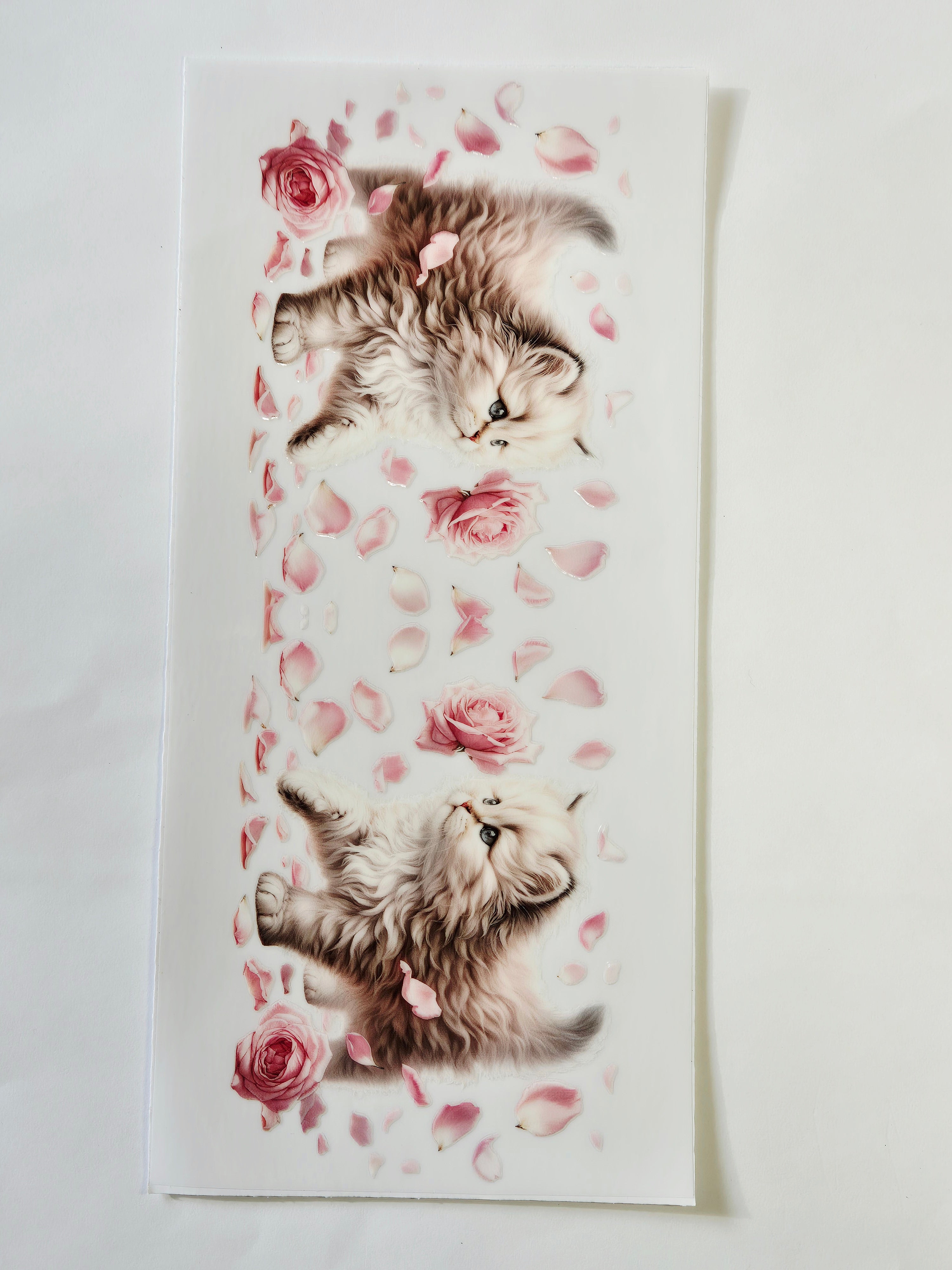 Sticker Baby Katze 144