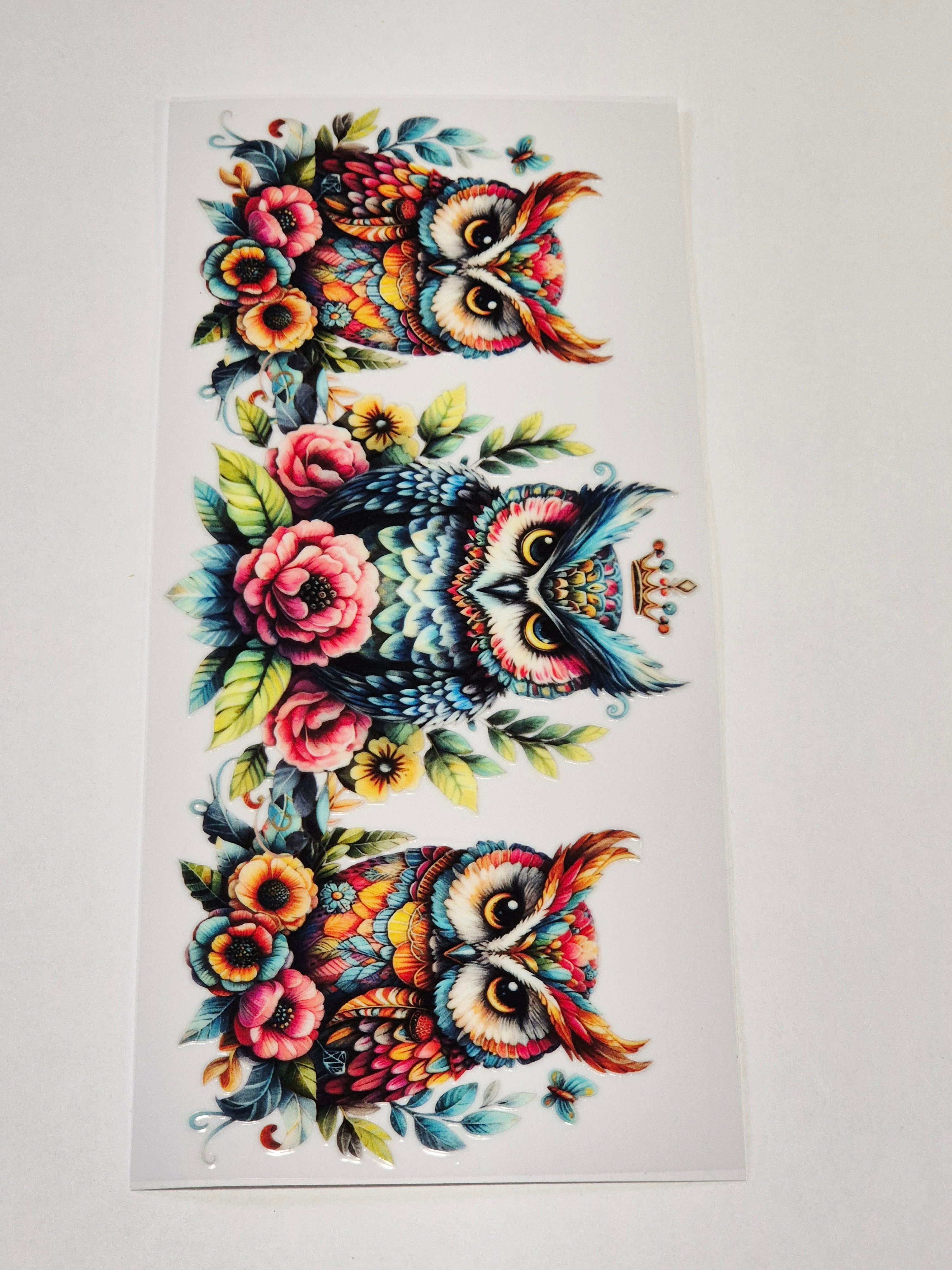 Sticker Eule 211
