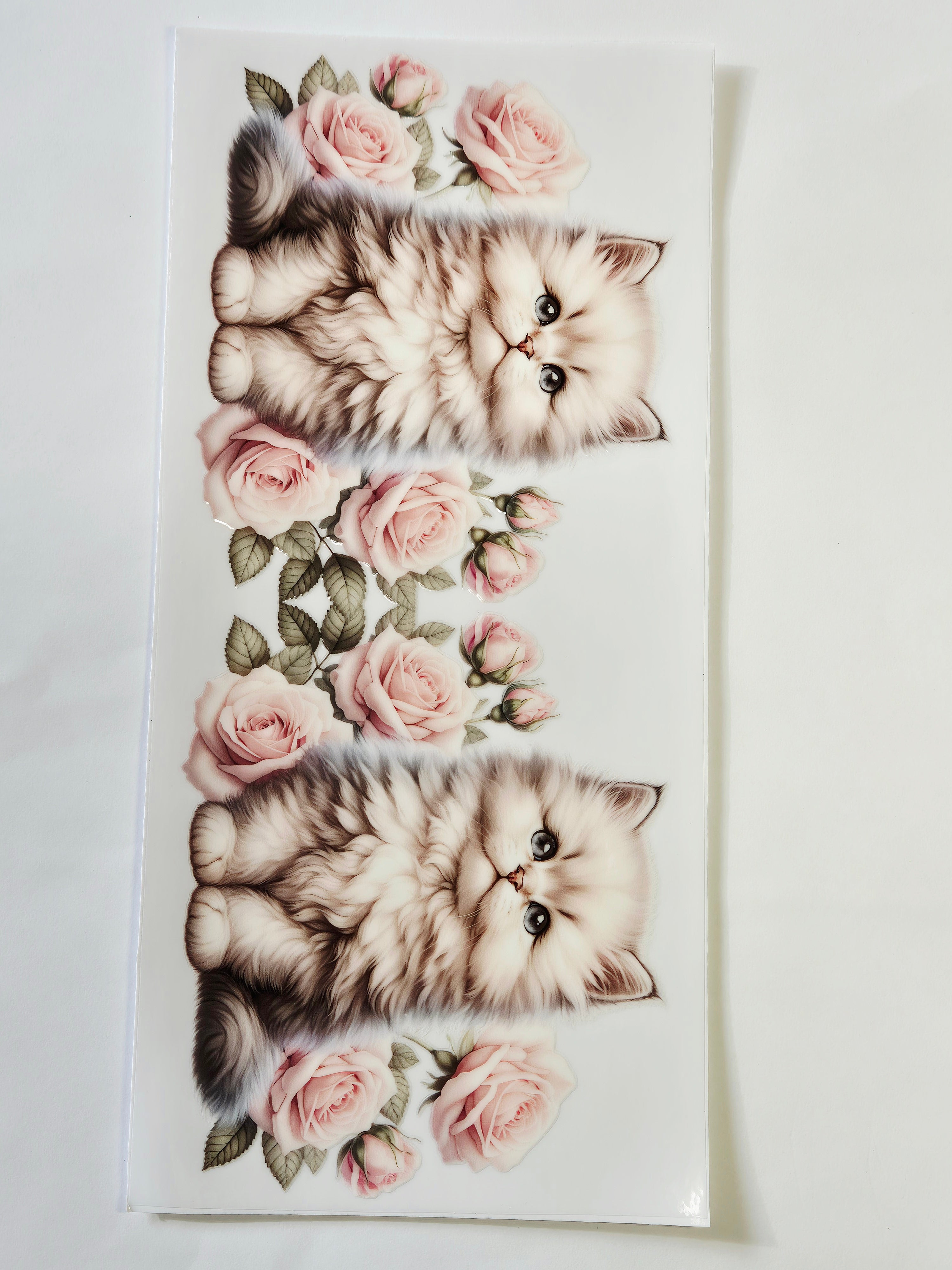 Sticker Baby Katze 146