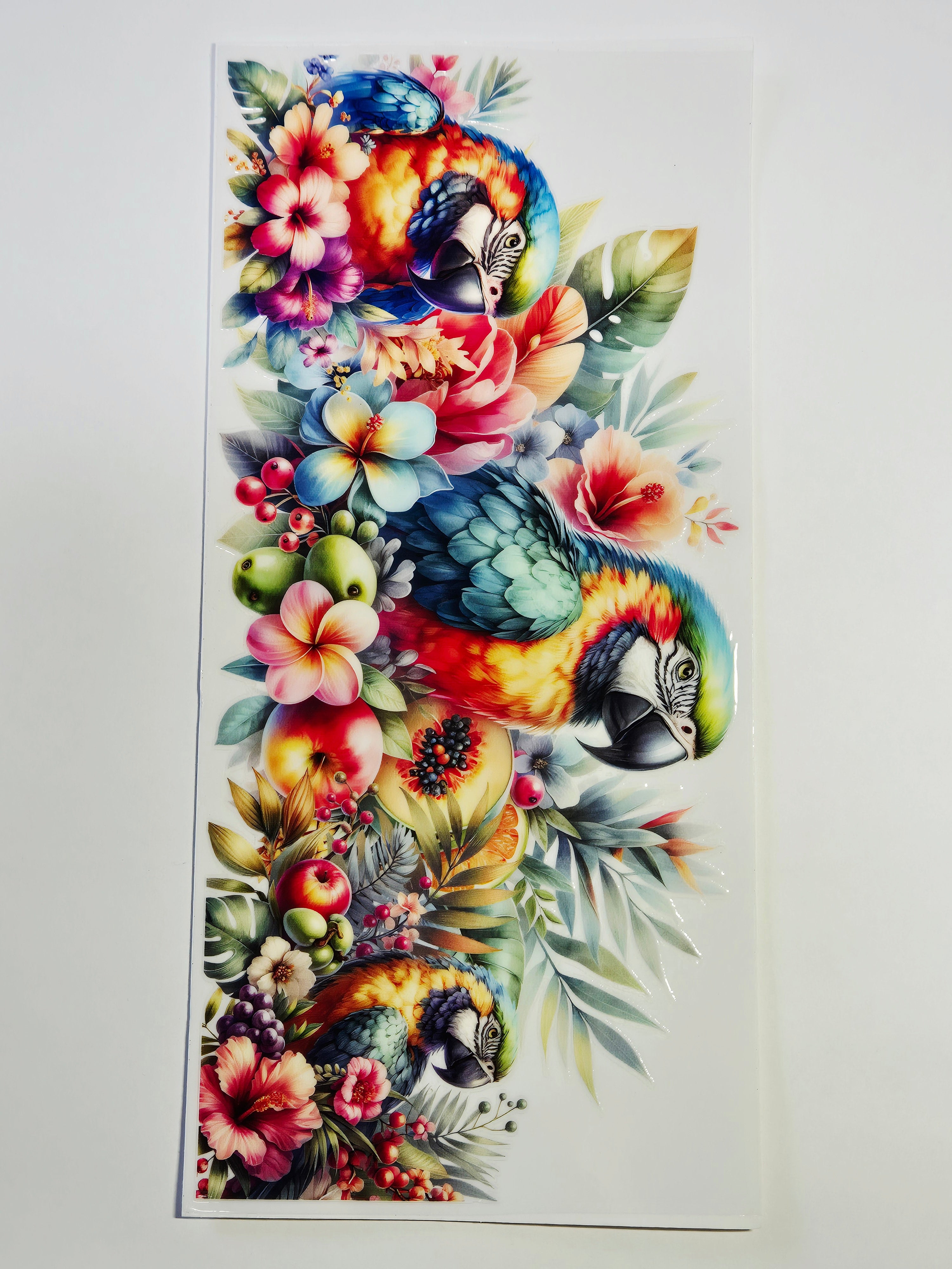 Sticker Papagei Vogel 35