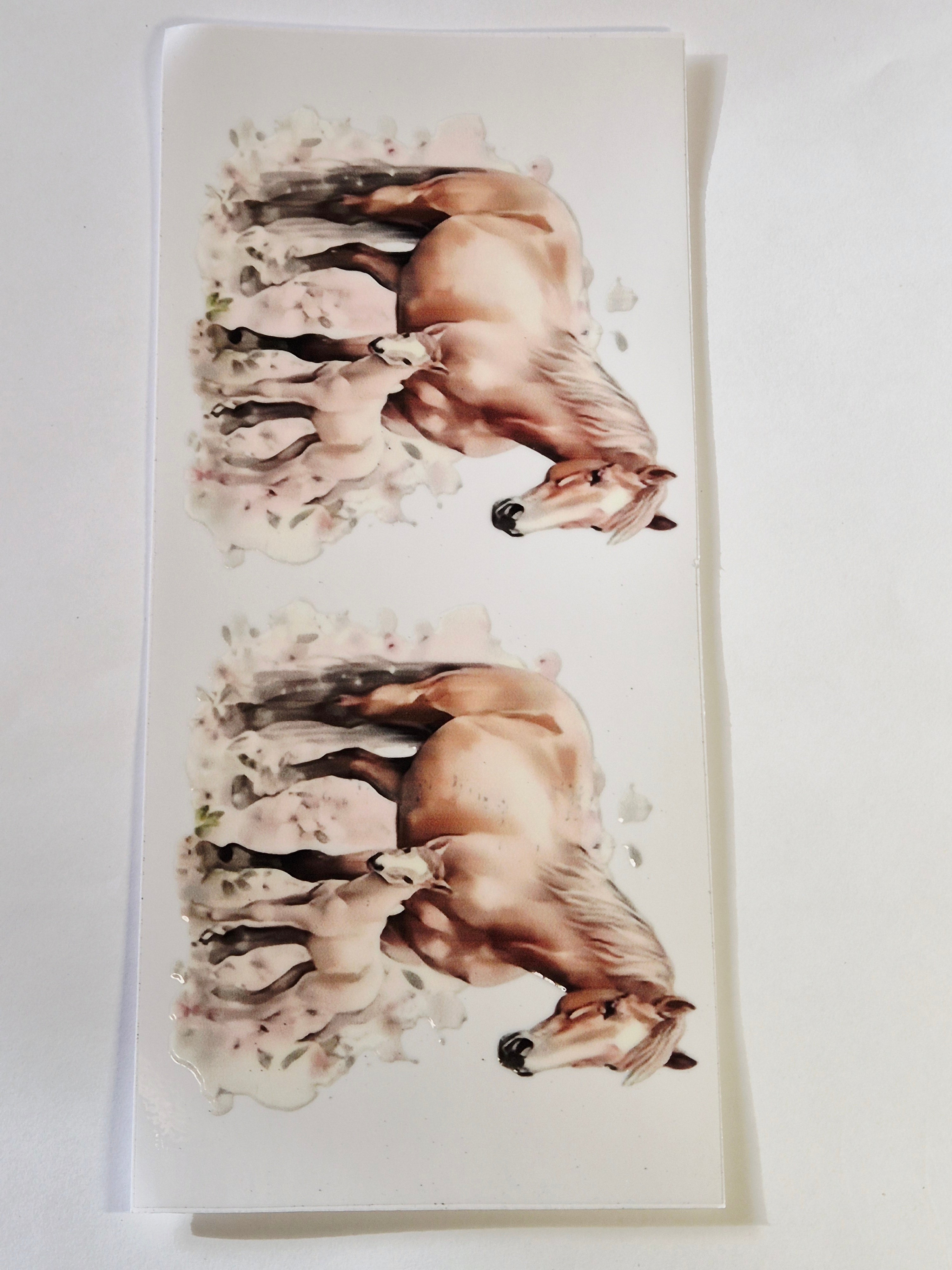 Sticker Pferd Pfohlen 81