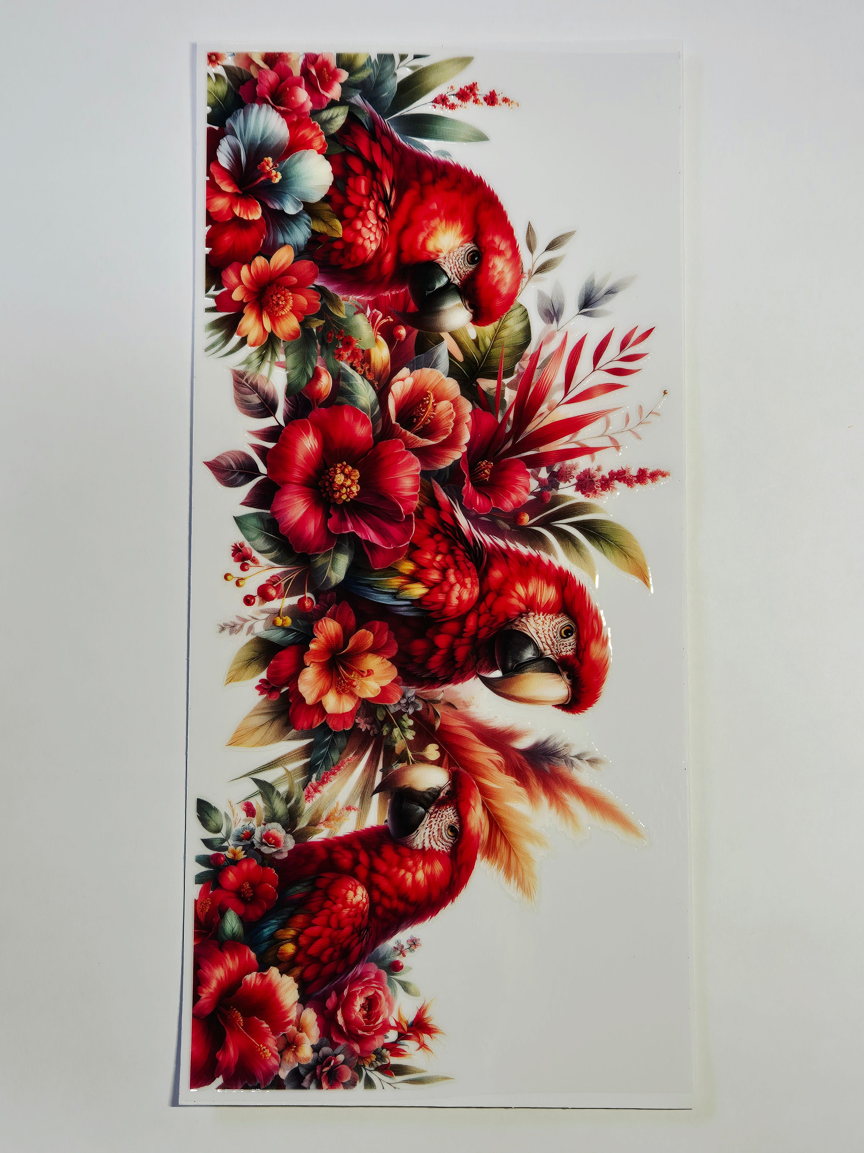 Sticker Papagei Vogel 34