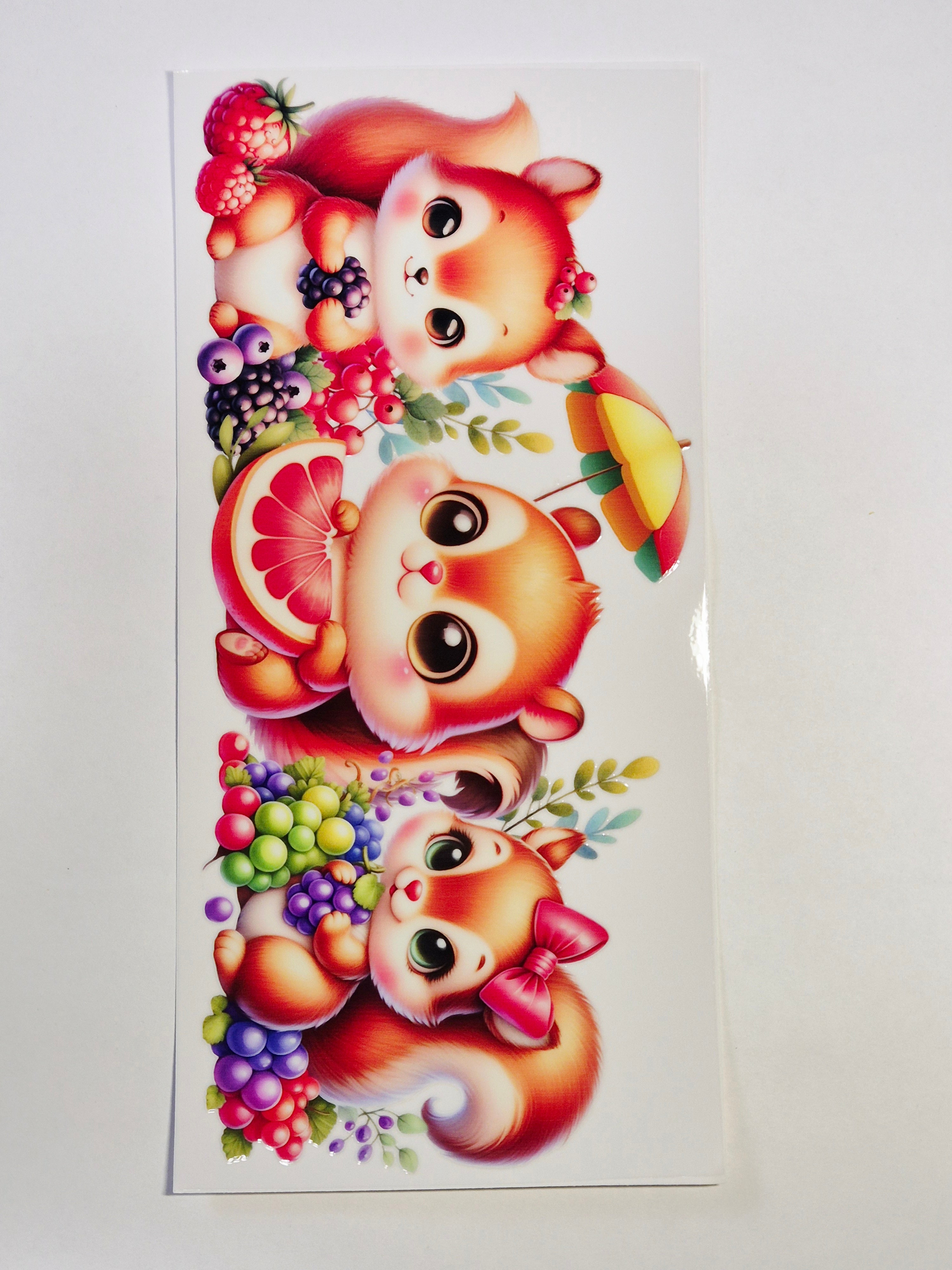 Sticker Eichhörnchen 47