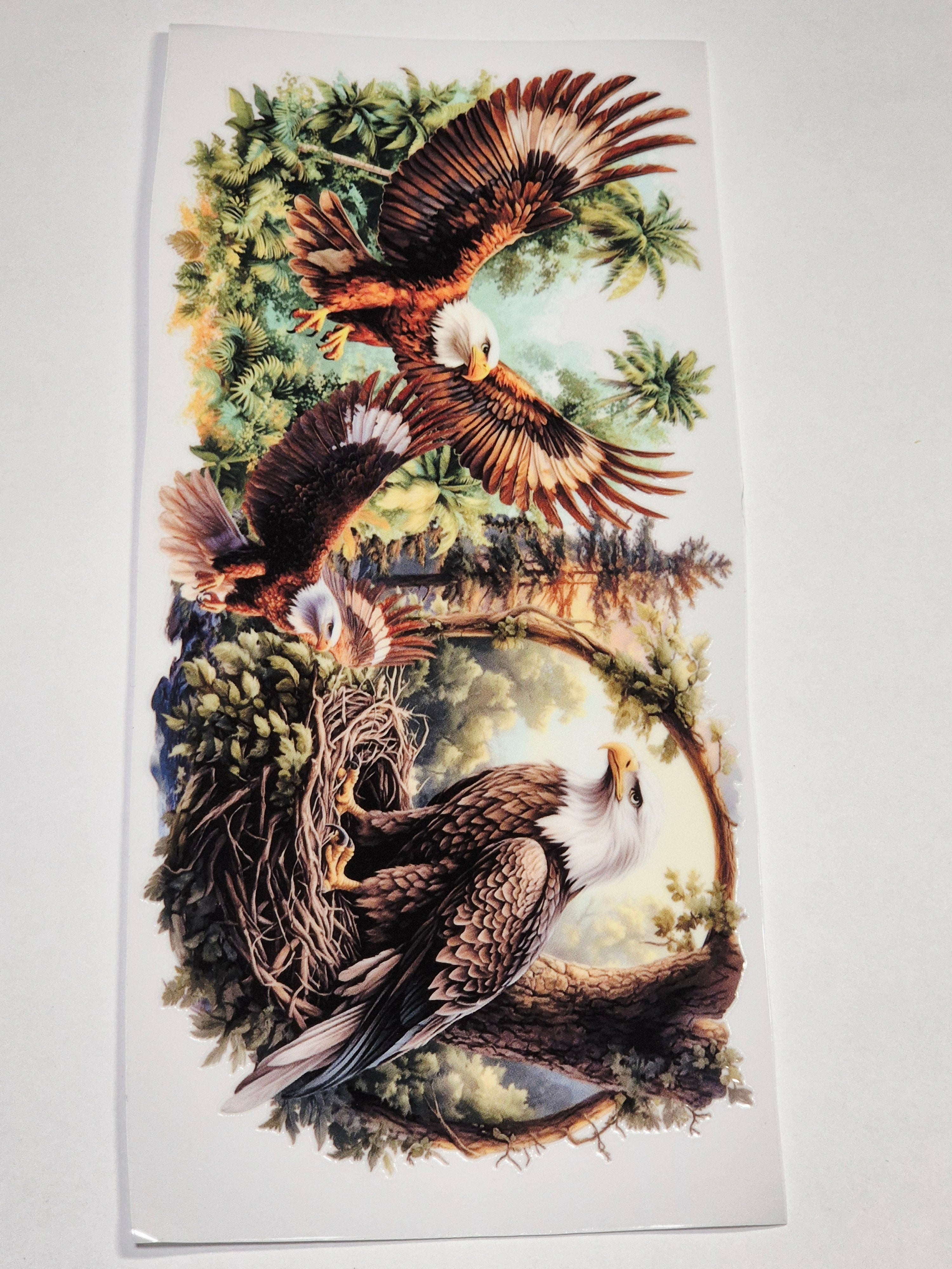 Sticker Adler Wald  164