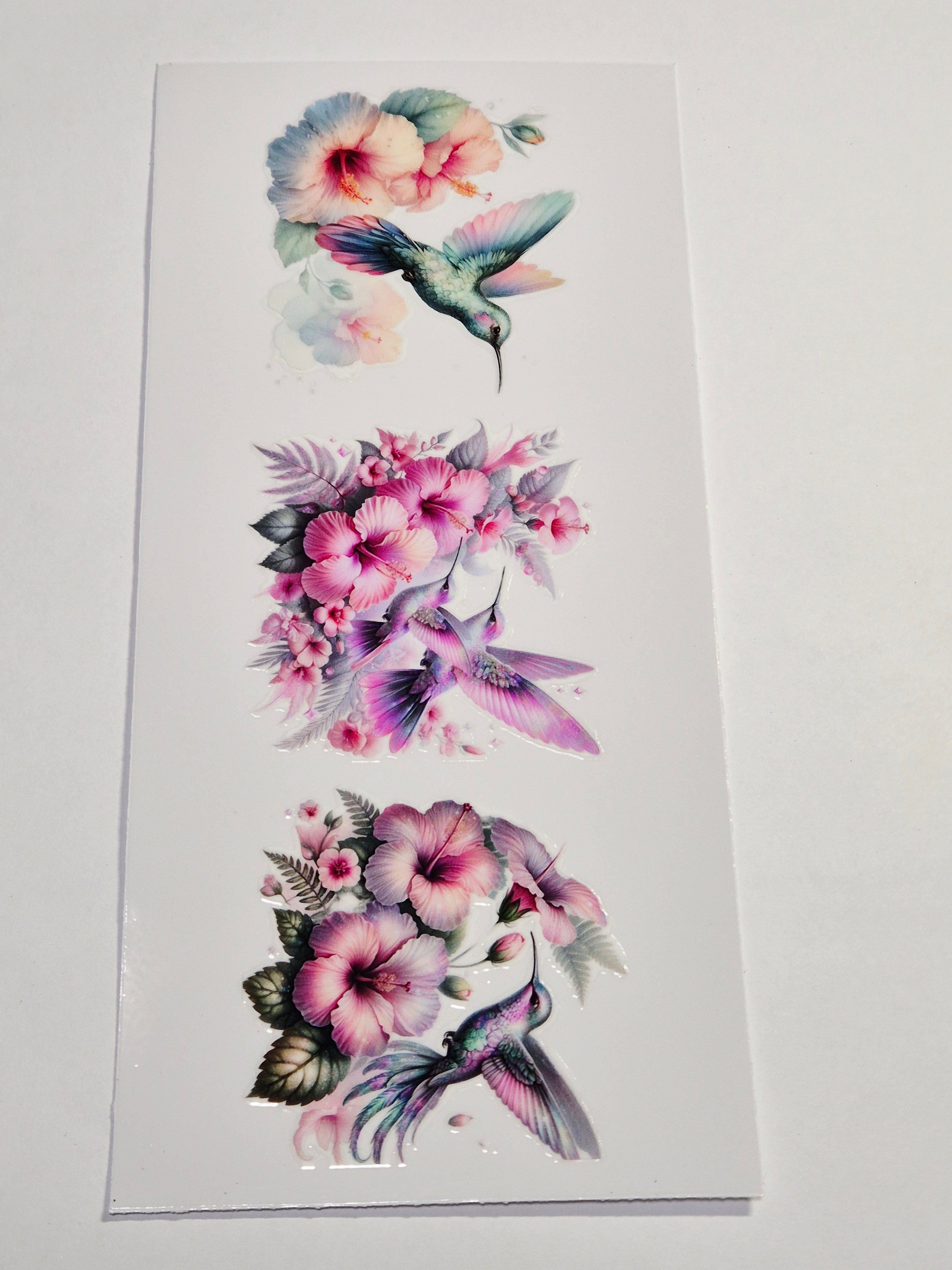 Sticker Kolibri 248