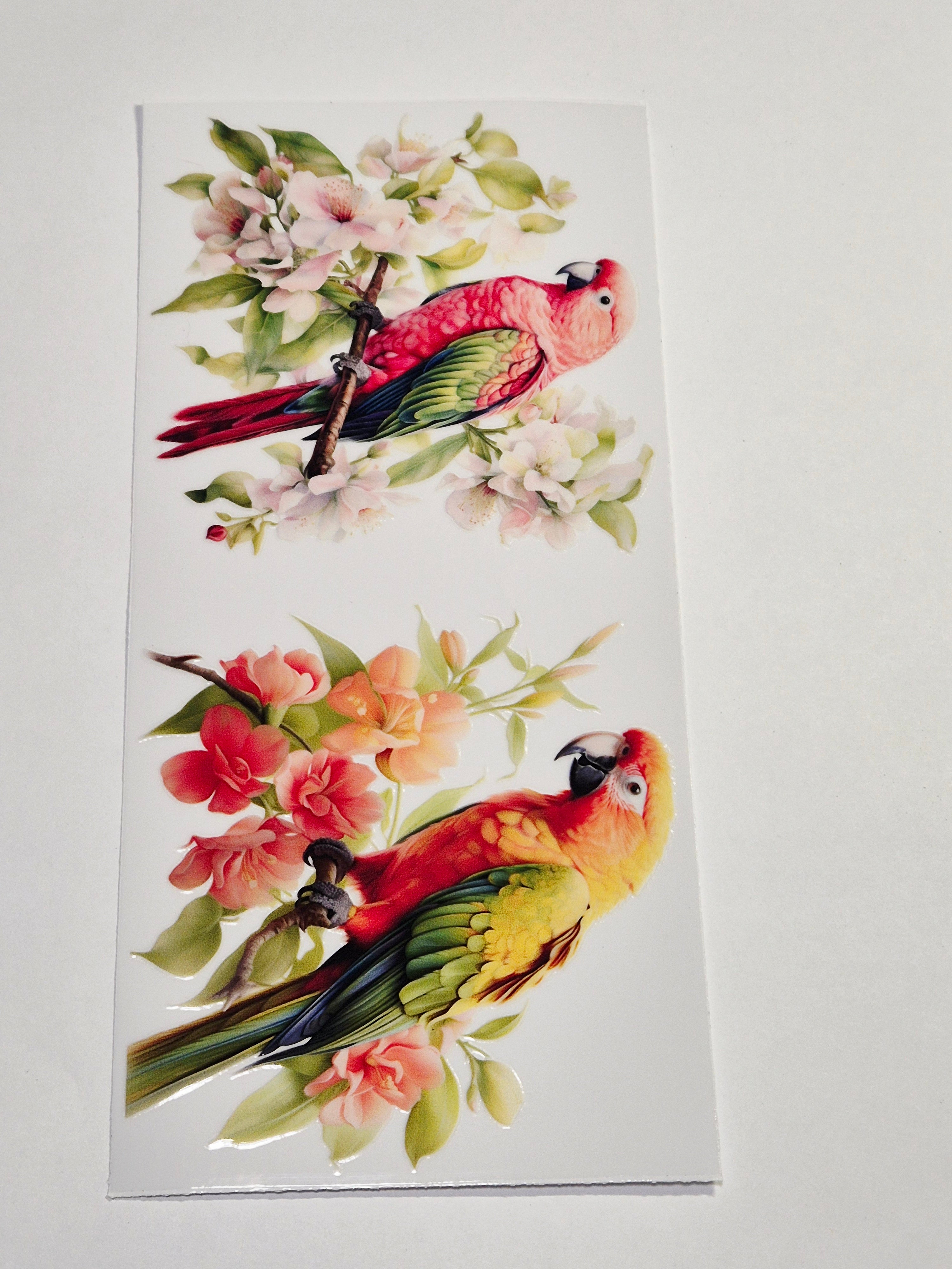 Sticker Papagei Vogel 238