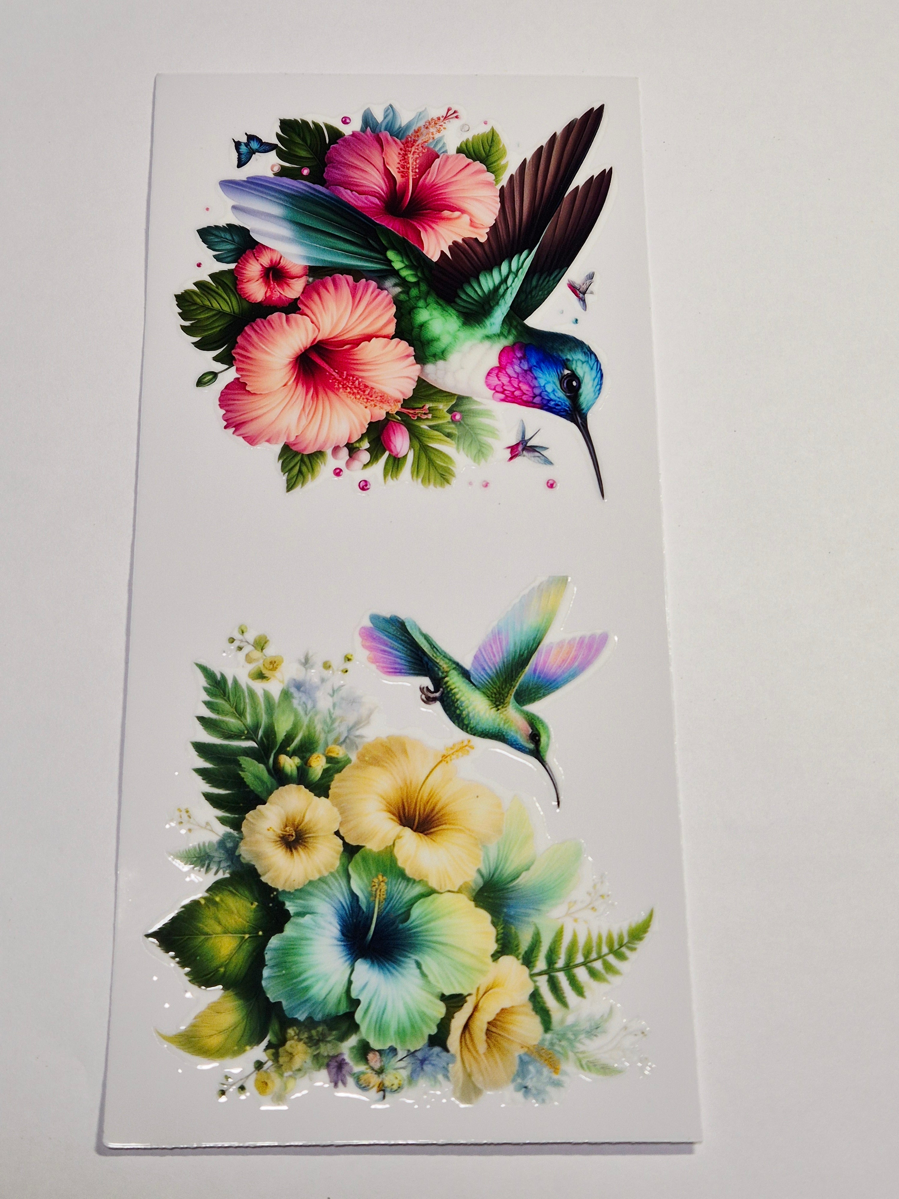 Sticker Kolibri 251